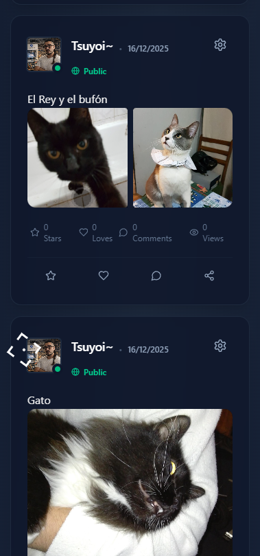 Profile mobile feed showing creator activity and audience loop surfaces.