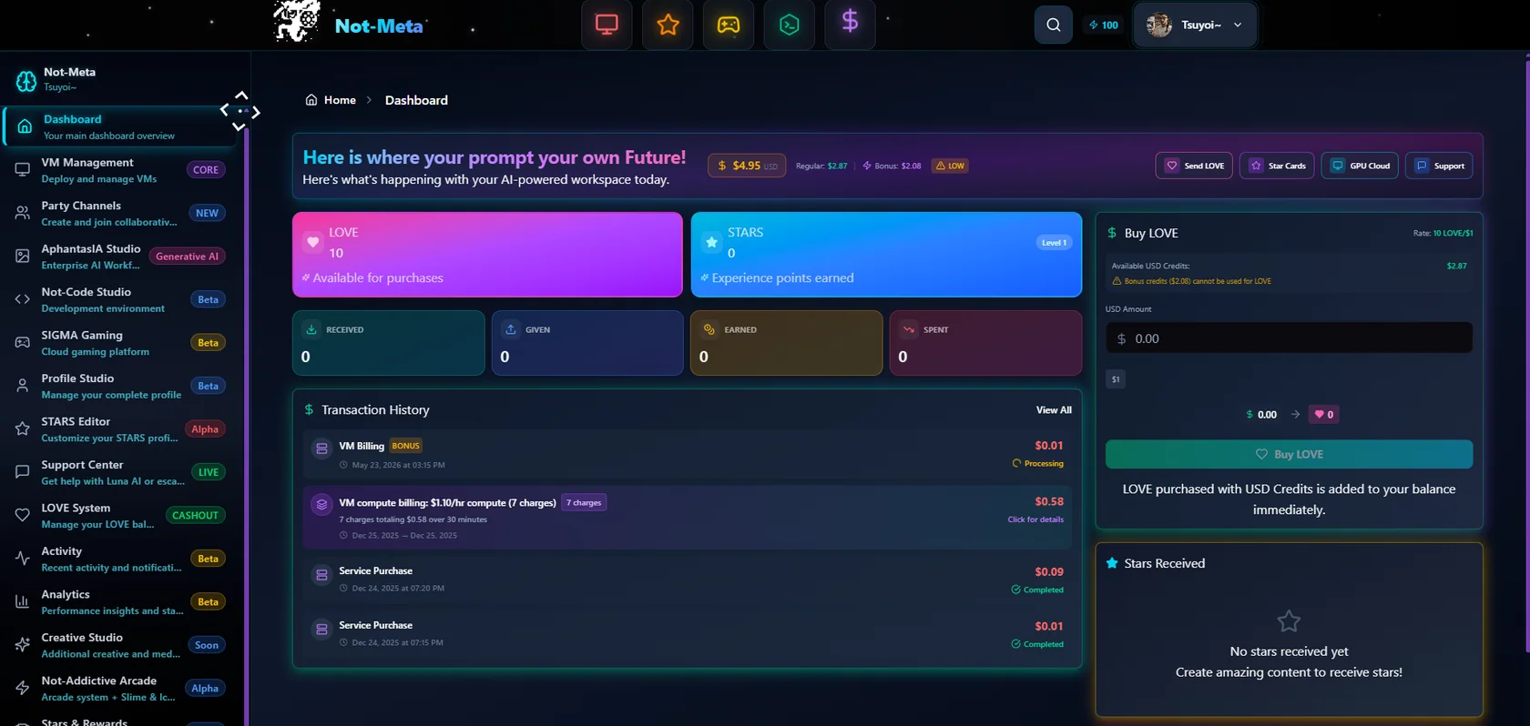 Not-Meta account dashboard showing available credit balance and recent activity.